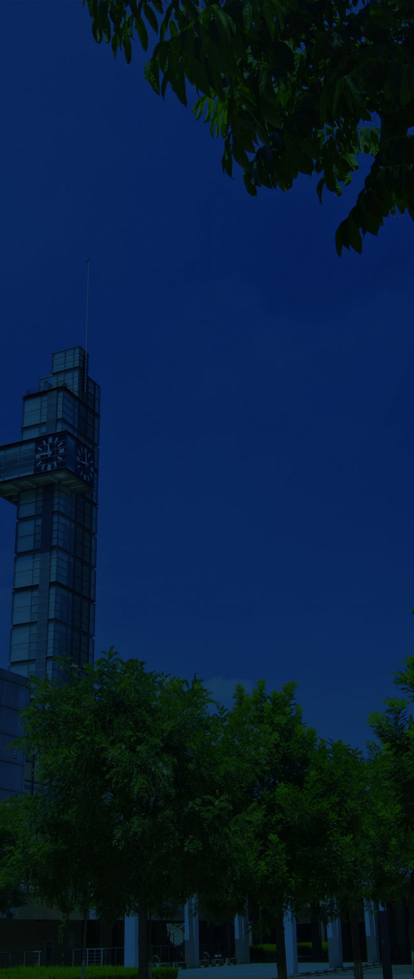 1029605128 All Rig